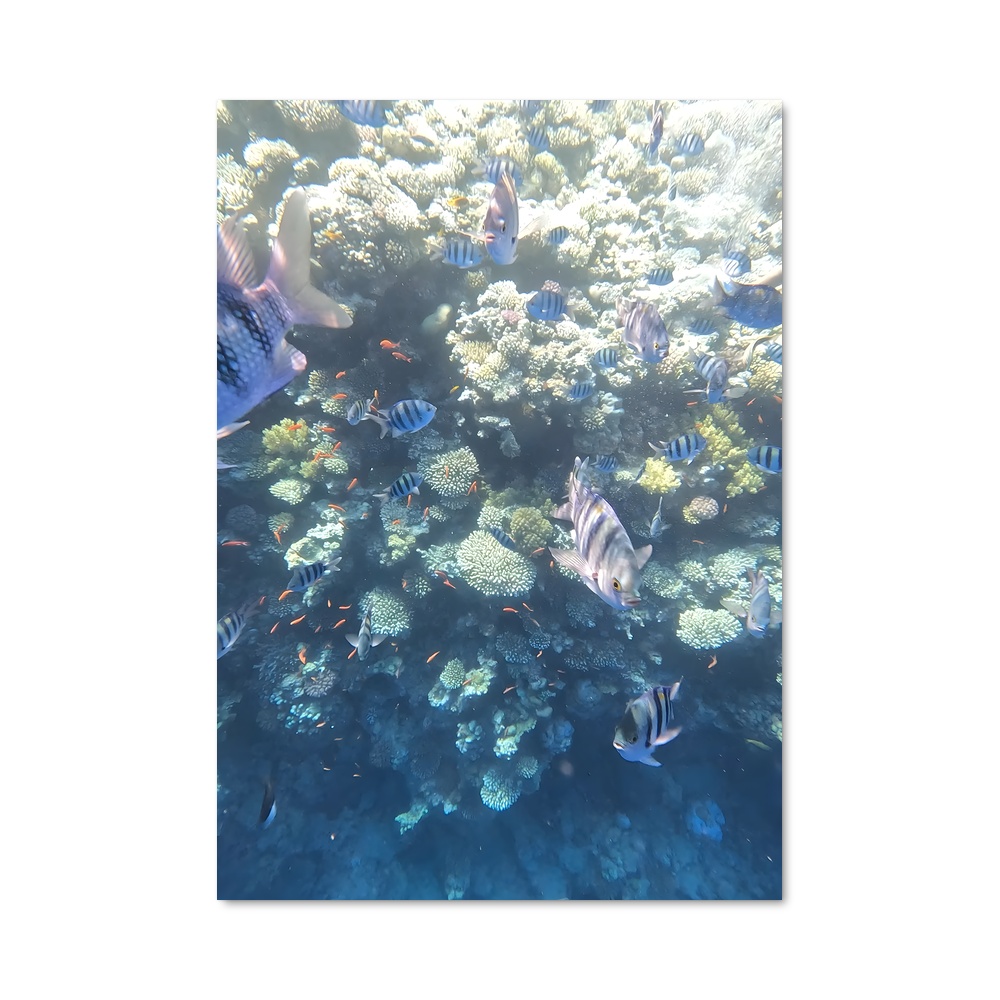 Poster Blue hole
